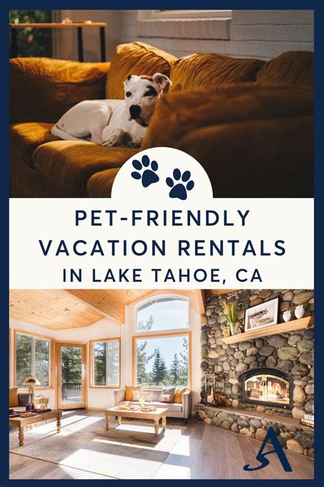 Pet-Friendly Vacation Rentals in Lake Tahoe in 2023 | Lake tahoe hotels ...