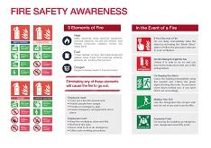 Emergency Procedures Poster – Sketsa