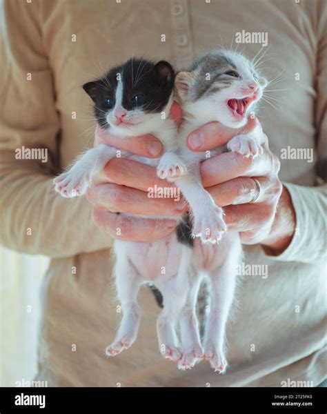 Two babies hugging hi-res stock photography and images - Alamy