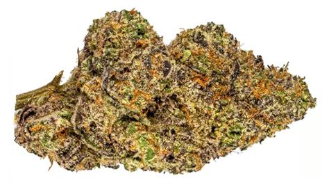 Pink Runtz – Weed Strain Information & Review