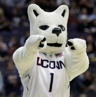 Basketball | Uconn, Uconn huskies, Connecticut huskies