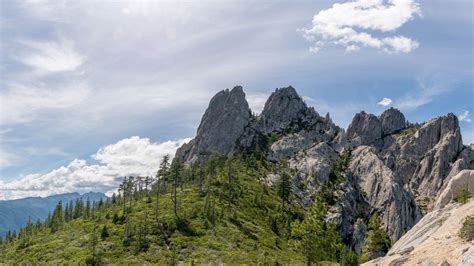 Everything You Need to Know About The Shasta-Trinity National Forest