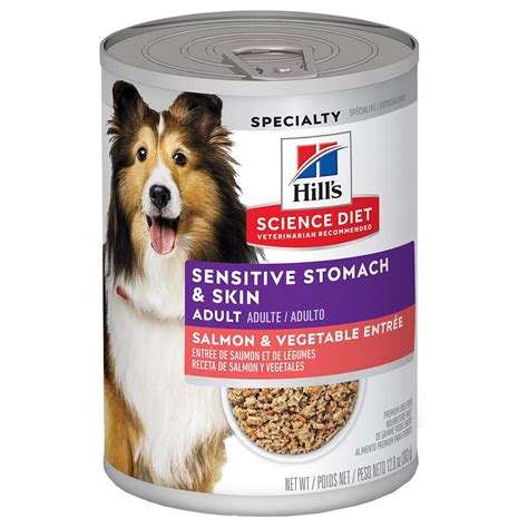 Hill's Science Diet Adult Sensitive Stomach & Skin Salmon & Vegetable ...