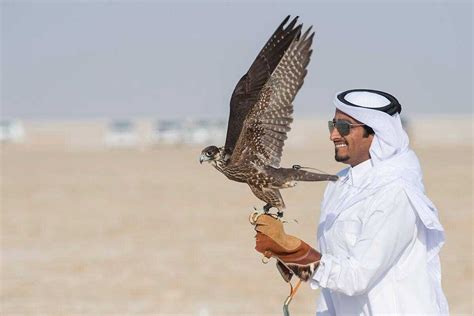 Falconry in Qatar - A Cultural Heritage - Holidify