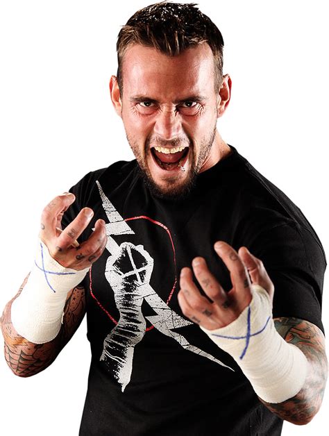 WORLD WRESTLING ENTERTAINMENT: WWE SuperStar CM Punk WWE Champion