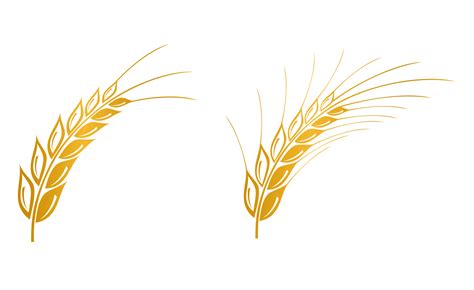 Wheat Vector Free Download : Wheat Vector Ears Clipart Pattern Illustration Eps Arms Coat Svg ...