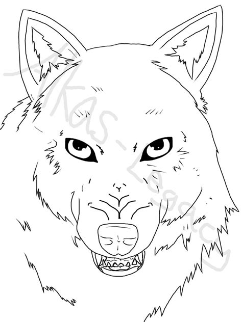 Wolf Snarl Drawing at GetDrawings | Free download