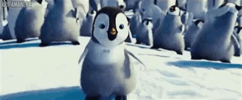 Happy Feet GIF - HappyFeet Penguins Mumble - Discover & Share GIFs