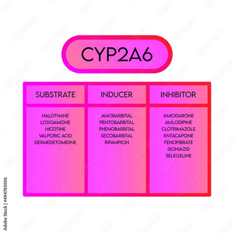 CYP2A6 Cytochrome p450 enzyme pharmaceutical substrates, inhibitors and inducers examples, for ...