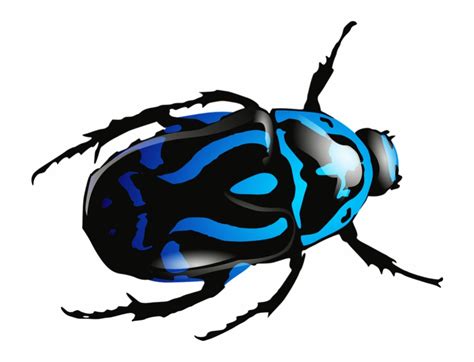 beetle clip art 20 free Cliparts | Download images on Clipground 2024