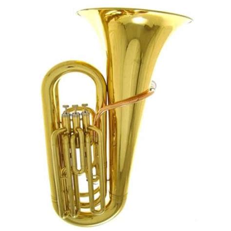 5 Best Euphoniums Reviewed in Detail [Sept. 2024]