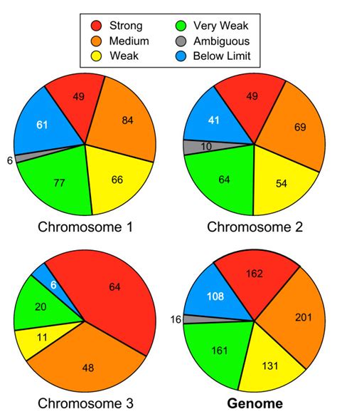 Distributions of origin efficiencies on the three chromosomes and in... | Download Scientific ...