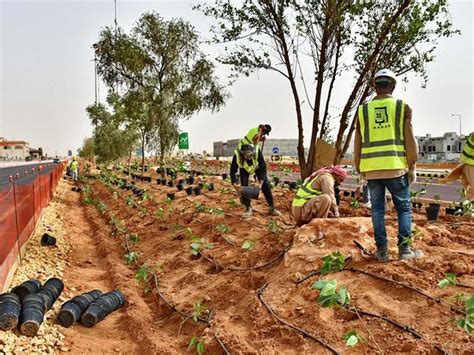 See how Saudi Arabia is making Riyadh green | News-photos – Gulf News