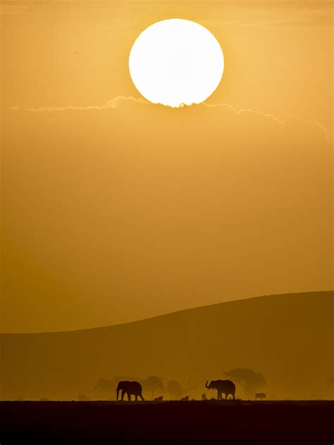 Golden Sunset | International Photo Awards