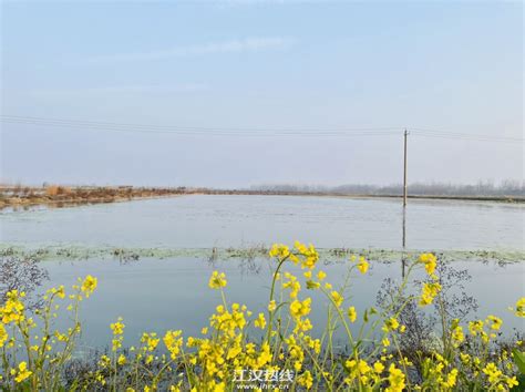 仙桃为什么没有上航拍中国？这几点值得反思_襄河茶馆_江汉热线