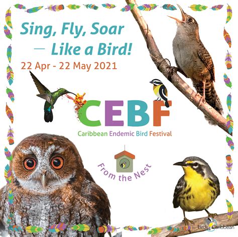 Caribbean Endemic Bird Festival 2021 encourages participants to “Sing ...