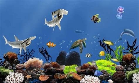 🔥 [49+] Live Fish Aquarium Wallpapers | WallpaperSafari