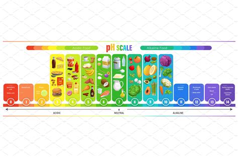 Ph scale chart, food acid balance by Vector Tradition SM on Dribbble