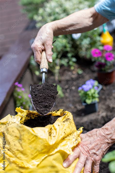 putting soil fertilizer into small terrace garden Stock Photo | Adobe Stock