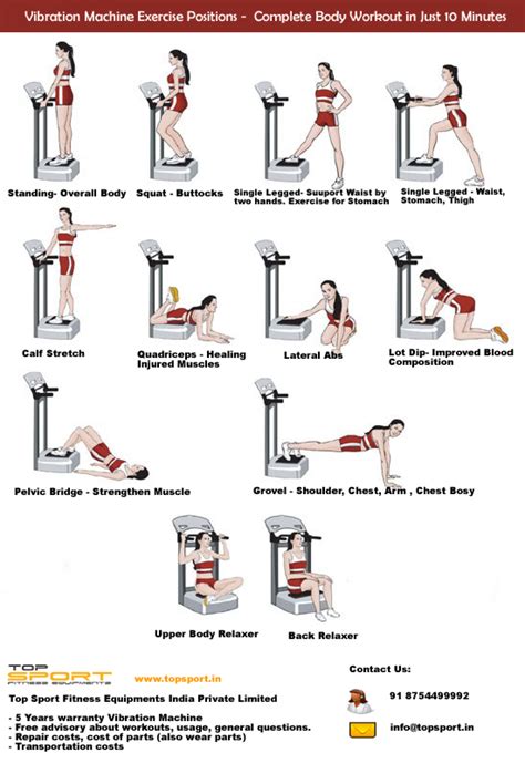 Augment Your Metabolism Activity with Vibration Machine Exercises ...