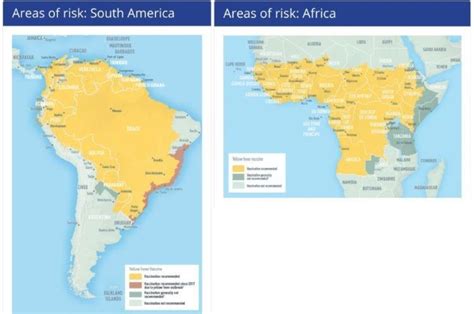 What Does a Yellow Fever Vaccine Cost? A Lot (Ouch!) — sightDOING