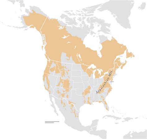 Black Bear Habitat Map