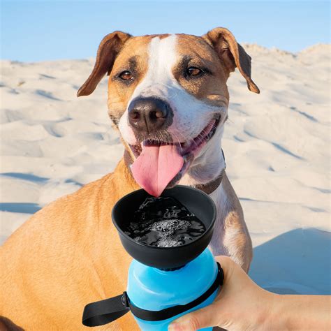 LANGRIA Portable 2 in 1 Dog Water Bottle, Foldable Pet Water Bottle & Silicone Bowl, Leak-proof ...