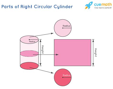 Right Circular Cylinder - Formula, Definition, Examples