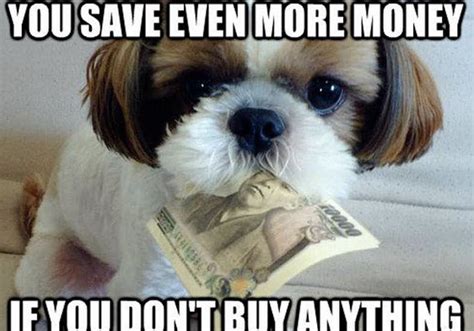 Saving Money Quotes Funny. QuotesGram