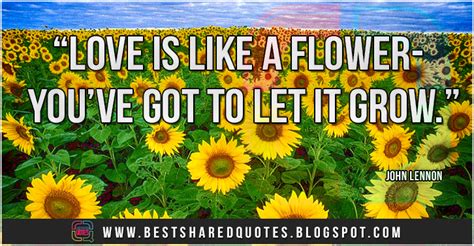 Let Love Grow Quotes. QuotesGram