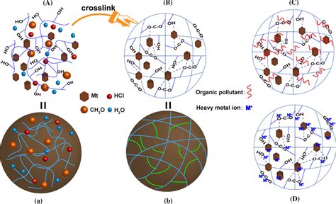 (A) Composite particles prior to cross-linking; a composite particle ...