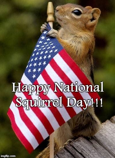 National Squirrel Day... - Imgflip