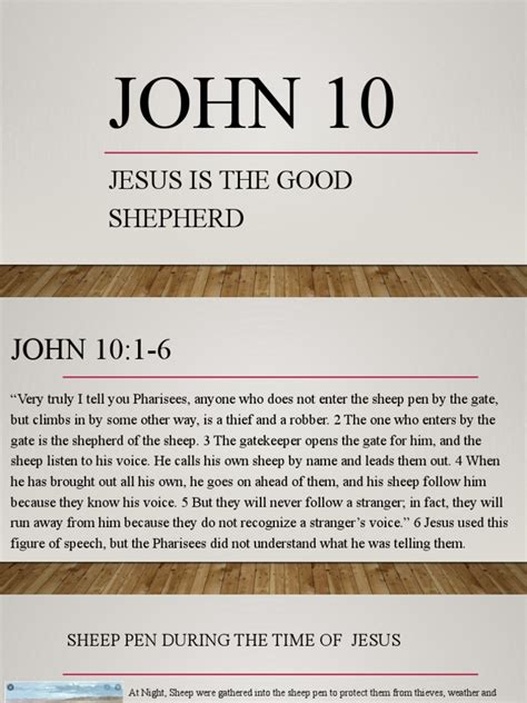 John 10 | PDF