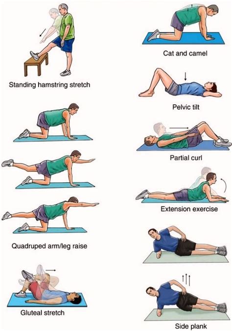 Exercise For Core And Lower Back | nobleliftrussia.ru