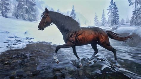 The Dark Bay Turkoman, one of the coolest horse in the game : reddeadredemption