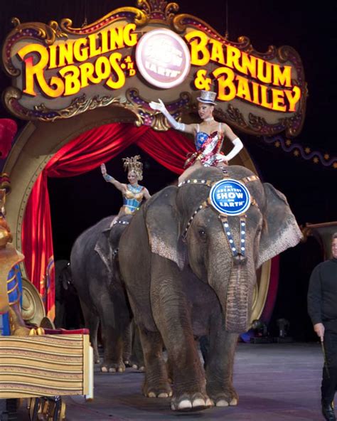 Breaking: Ringling Bros. Closes Circus For Good After 146 Years Of Entertaining - True Activist