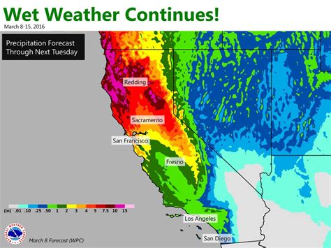 California Rain Fall 2024 - Chanda Annecorinne