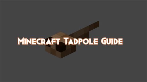 Minecraft Tadpole Guide: Drops, Behavior and Attacks - Pillar Of Gaming