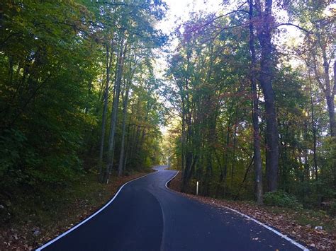 Three Scenic Drives in the Great Smoky Mountains