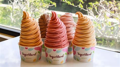 Here's the Complete Guide to Vegan Flavors at Yogurtland