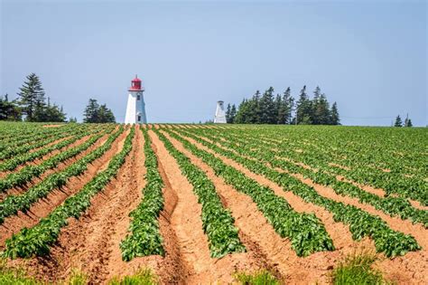 PEI's Must See Lighthouses - Welcome PEI