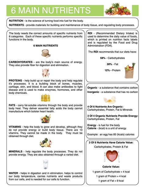 6 Main Nutrients Content Sheet, Worksheet and Answer Key | Made By Teachers