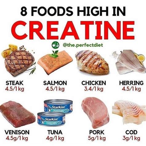 foods rich in creatine