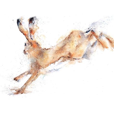 Framed Running Hare Painting | Hare painting, Hare watercolour, Hare illustration