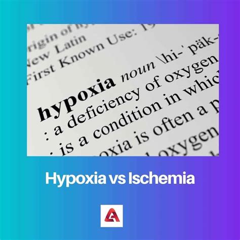 Hypoxia vs Ischemia: Difference and Comparison