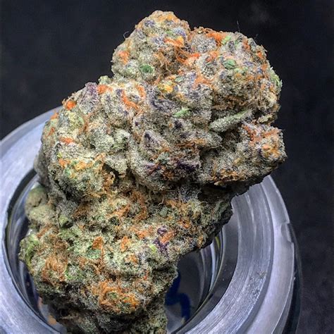 Love Cannabis – Runtz – StrainSupermarket.com