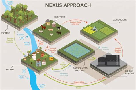 Constructed Wetlands to Turn Wastewater into Energy - UNU - Institute ...