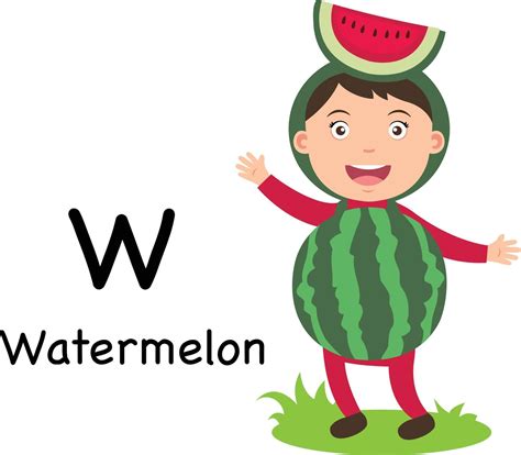 Alphabet Letter W-watermelon,vector 3204226 Vector Art at Vecteezy