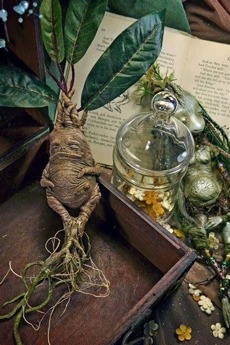 Mandrake root. | harry potter | Pinterest