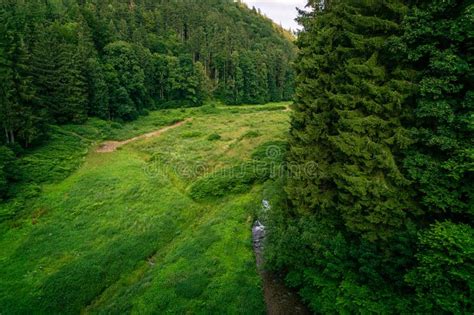 Lush Green Vegetation in the Sudety Mountains. Miedzygorze. Poland. Stock Photo - Image of ...